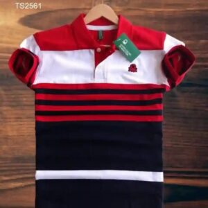 Stylish Half Sleeve polo Shirt for Men (3)